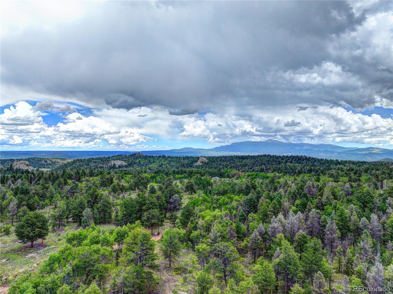 174 Elk View Road Florissant, CO 80816 - Photo 3 of 21 Gallery Image 3