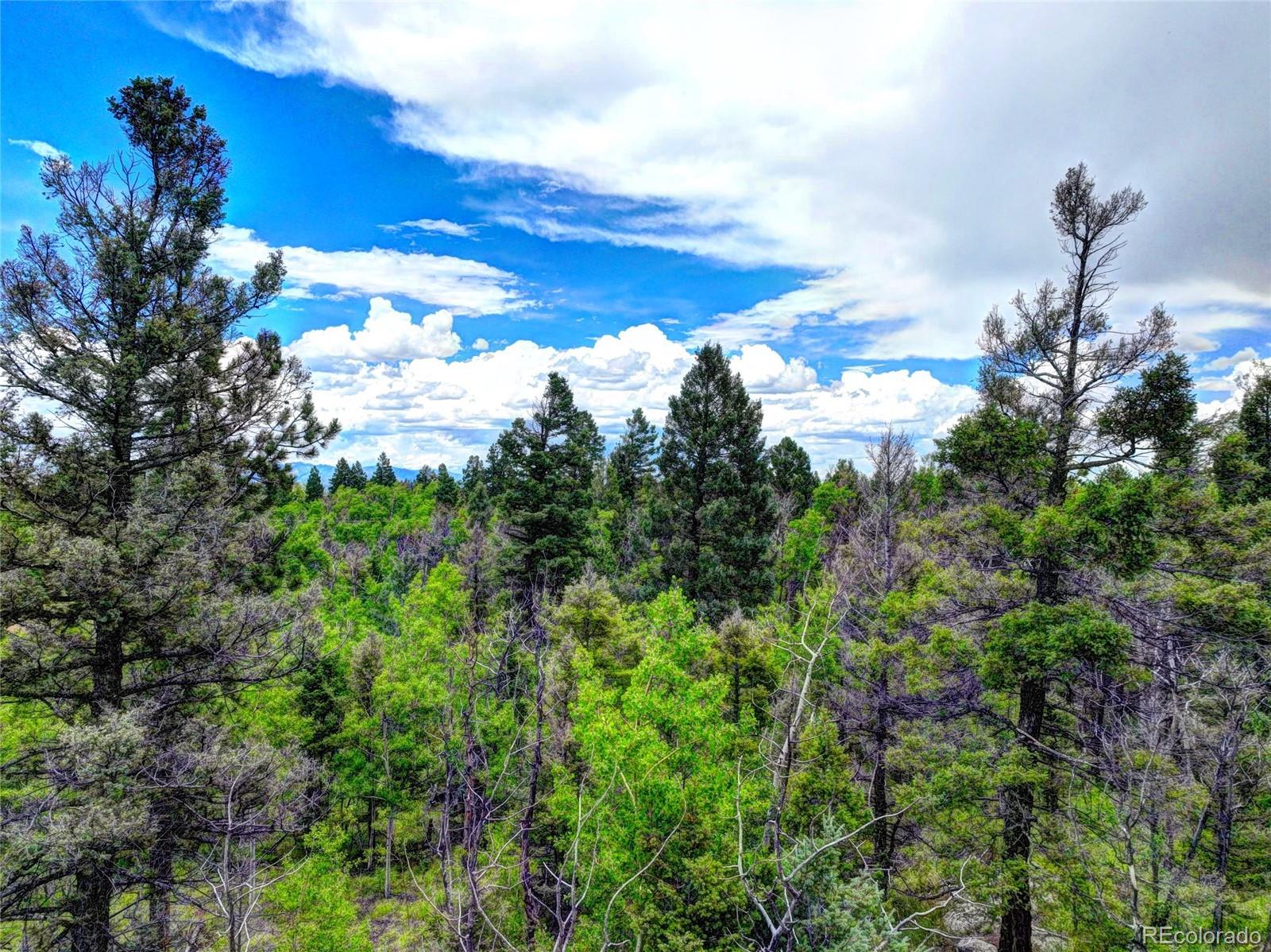 174 Elk View Road Florissant, CO 80816 - Photo 7 of 21 Gallery Image 7
