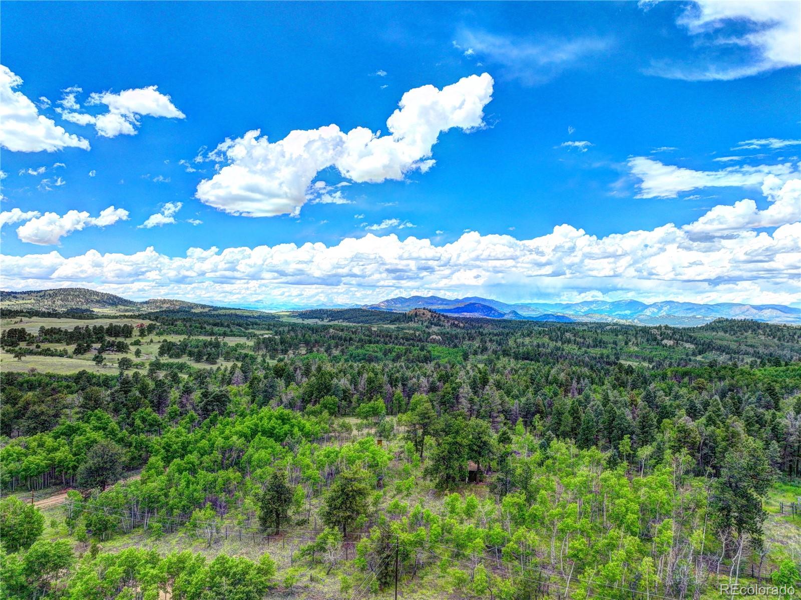 174 Elk View Road Florissant, CO 80816 - Photo 10 of 21 Gallery Image 10