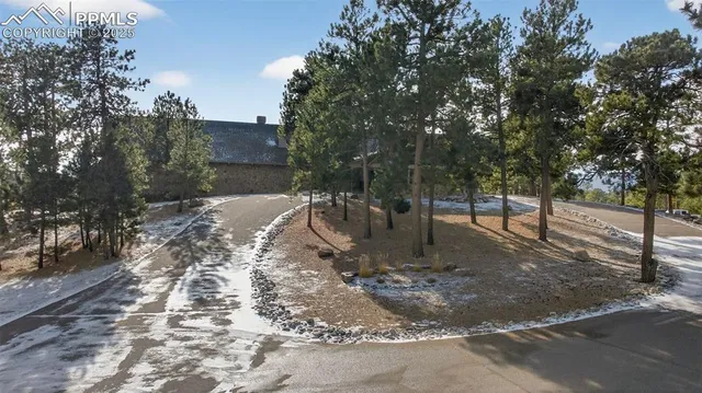 a view of a yard with plants and trees