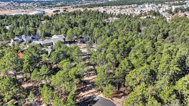 a view of a house with a lush green forest