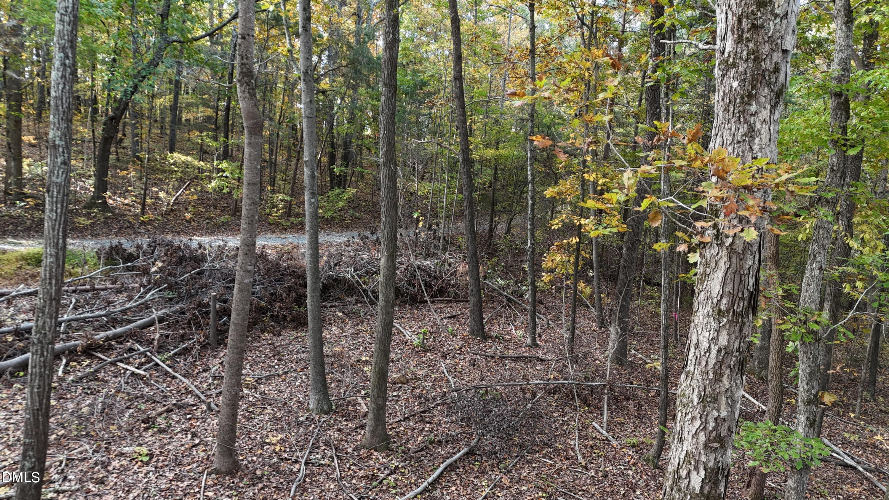 0 Watkins Road Hillsborough, NC 27278 - Photo 11 of 15 Facing Out to Road 2
