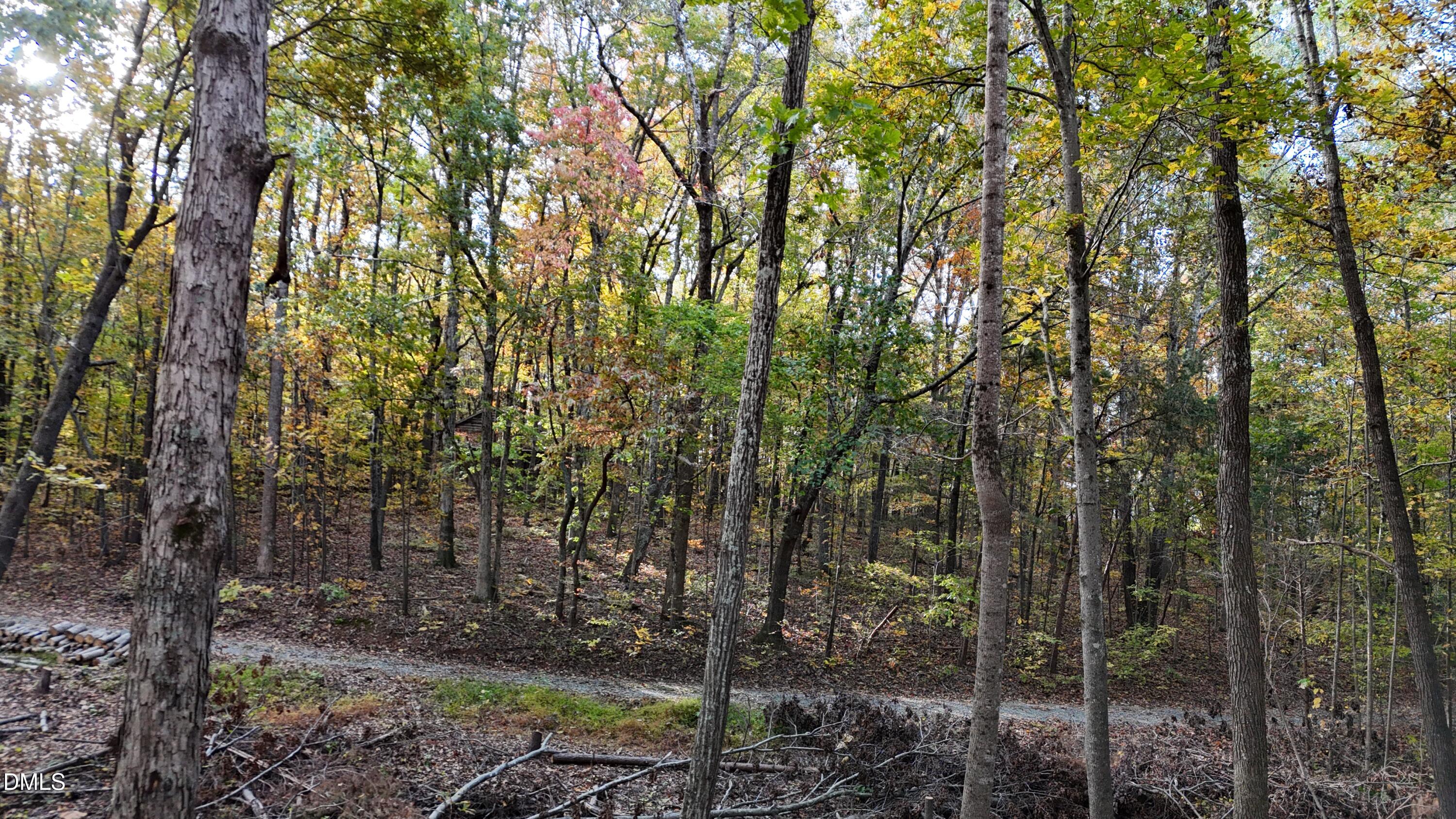 0 Watkins Road Hillsborough, NC 27278 - Photo 13 of 15 Facing Out to Road