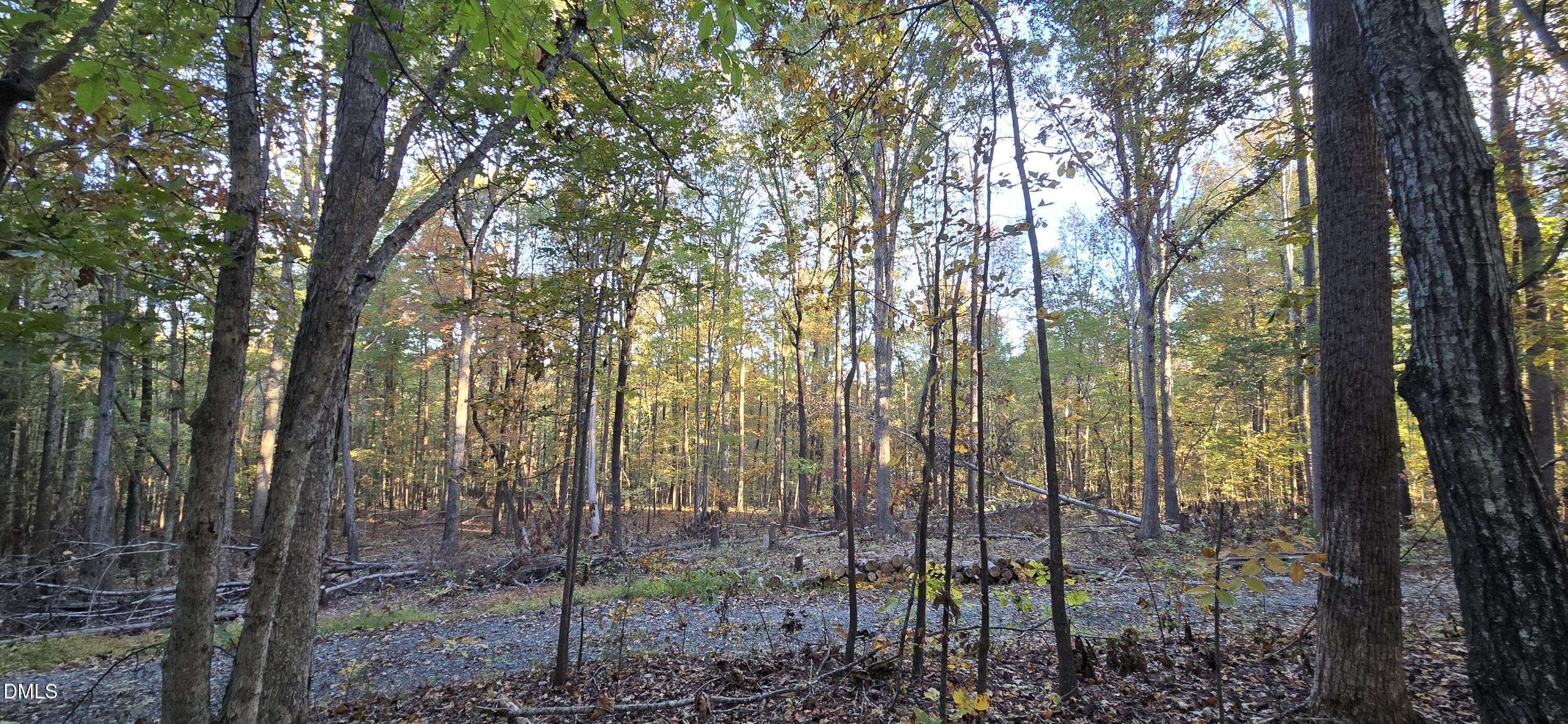 0 Watkins Road Hillsborough, NC 27278 - Photo 14 of 15 Facing Property Across Street