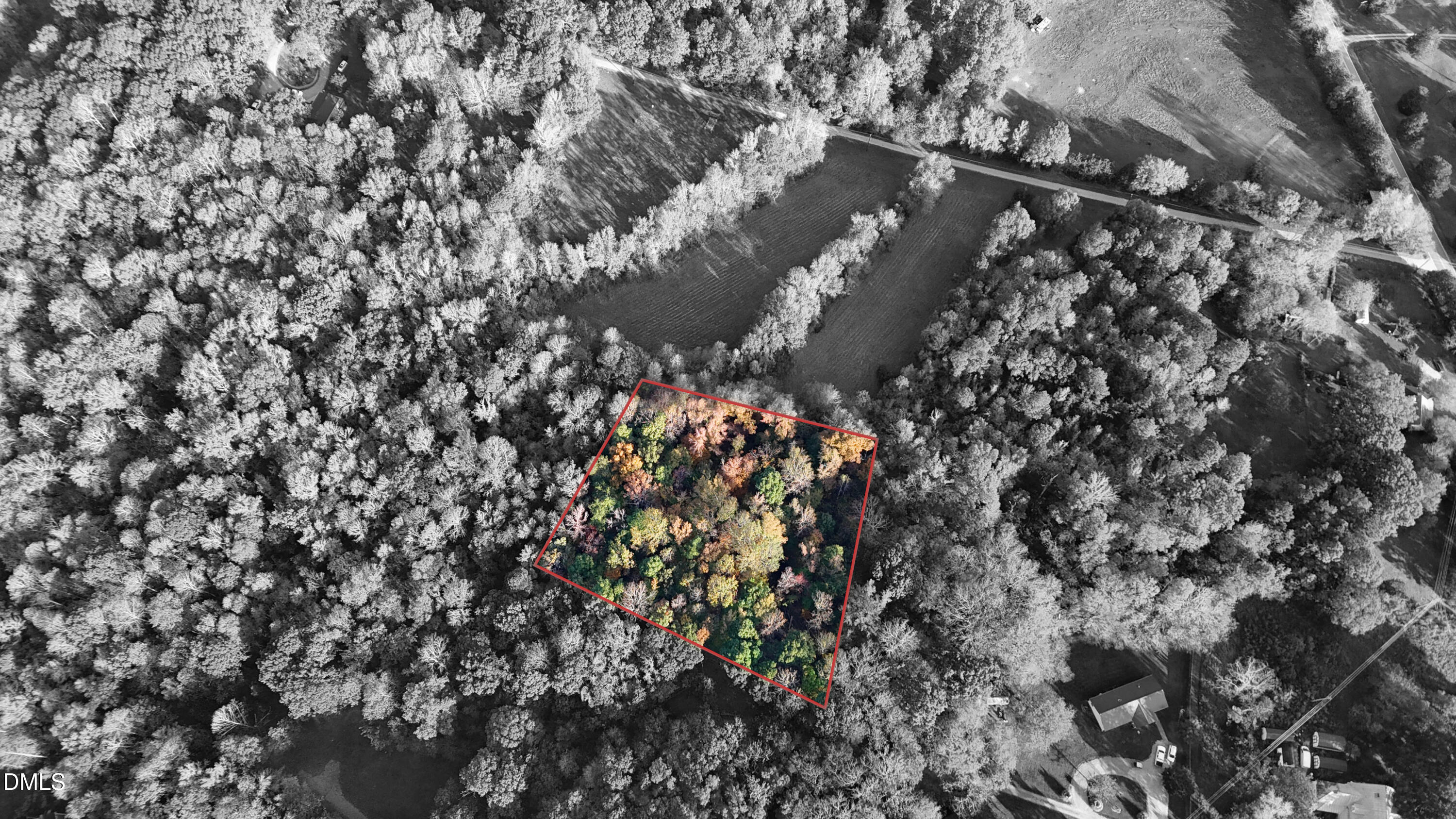 0 Watkins Road Hillsborough, NC 27278 - Photo 4 of 15 Overhead with Property Lines-Desaturated