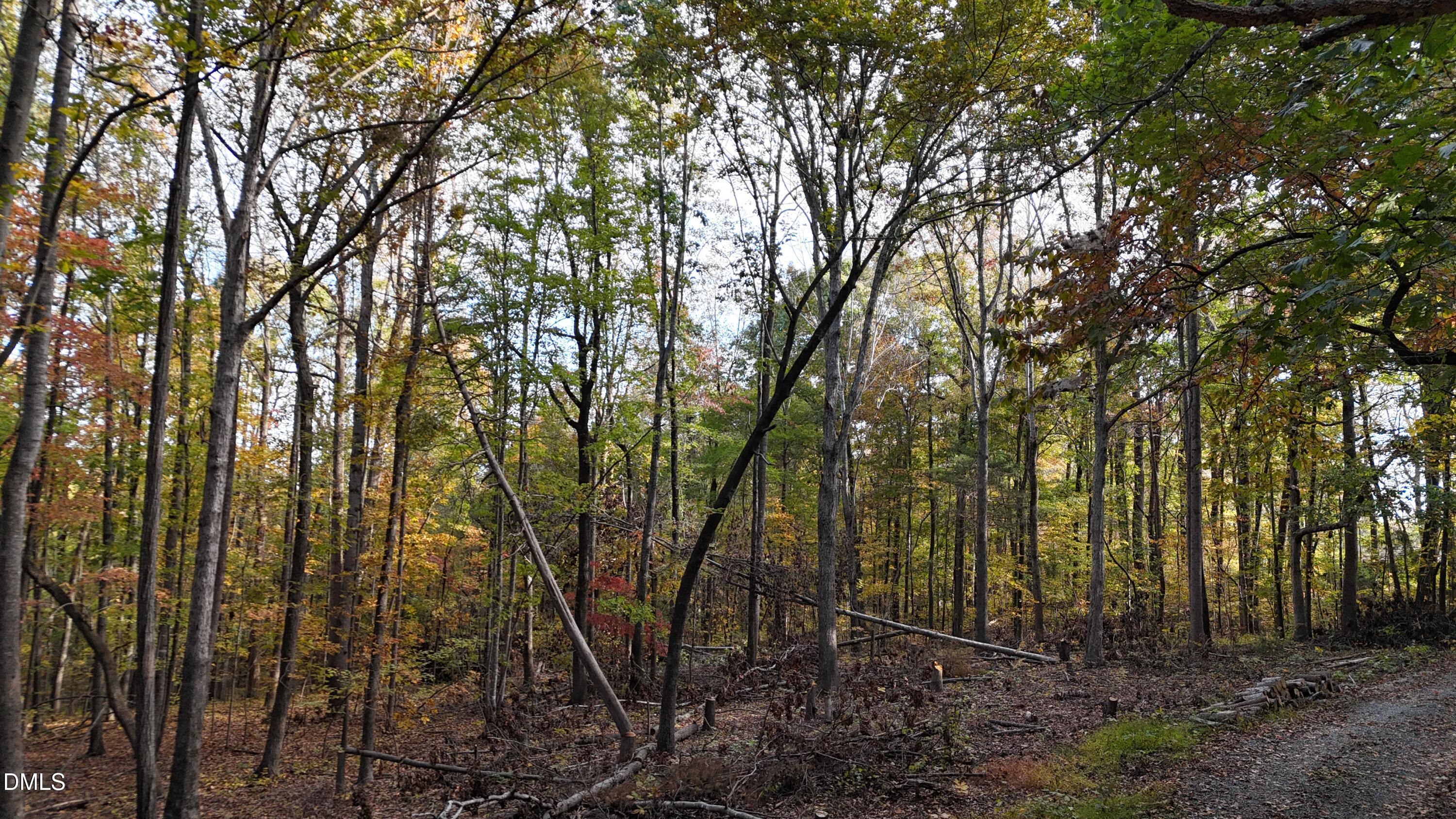 0 Watkins Road Hillsborough, NC 27278 - Photo 9 of 15 Facing Down Street