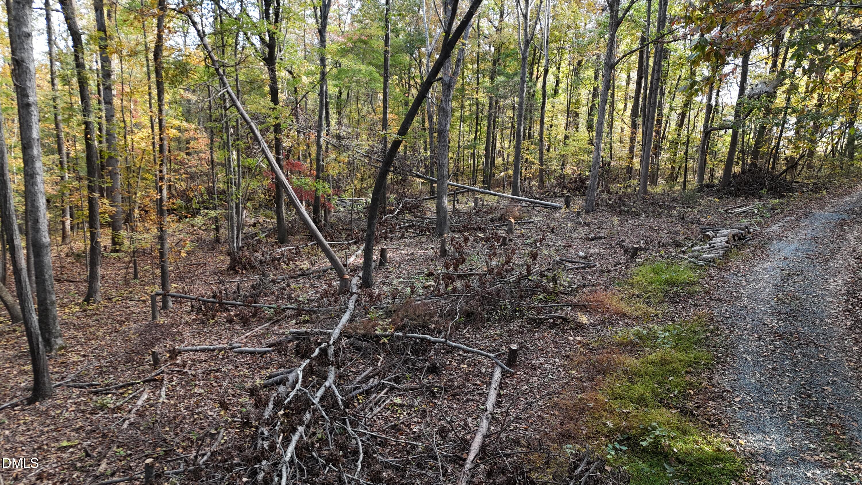 0 Watkins Road Hillsborough, NC 27278 - Photo 10 of 15 Facing Down Street2