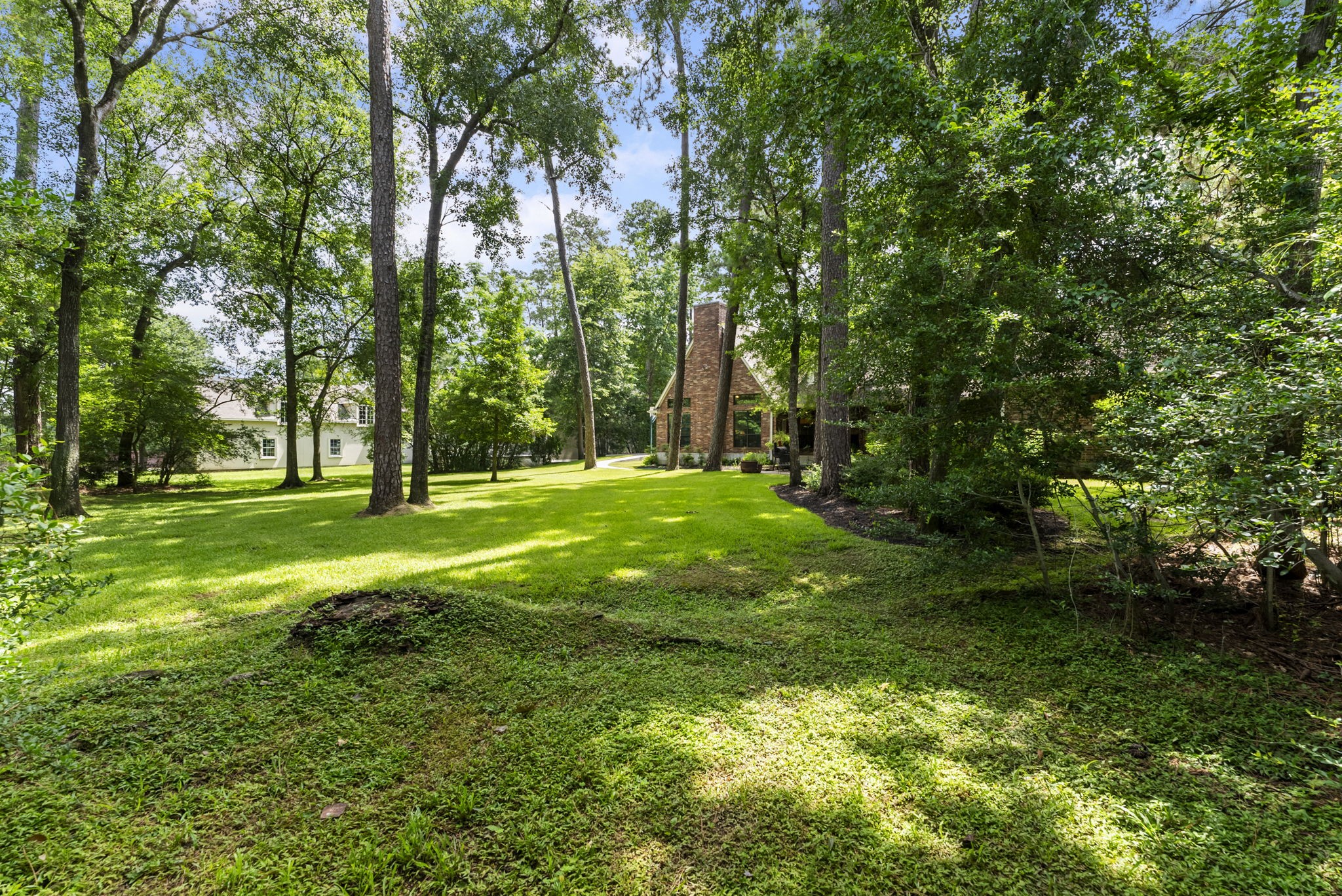 24311 Standing Oak Drive Spring, TX 77389 - Photo 38 of 42 Mature pines and hardwoods anchor a broad, level lawn with endless potential. There’s space here for play, a pool, or simply enjoying the privacy.