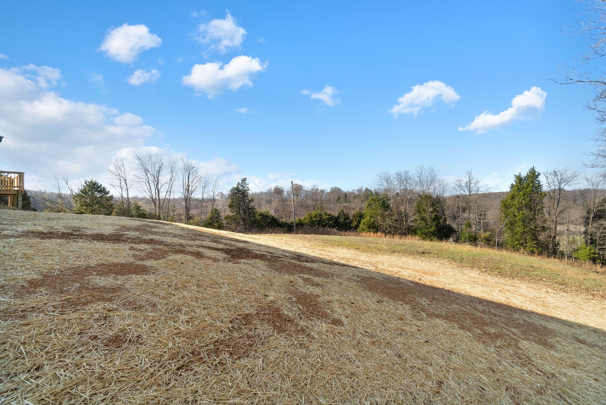 5145 Watkins Ford Road Southside, TN 37171 - Photo 44 of 46 Gallery Image 44