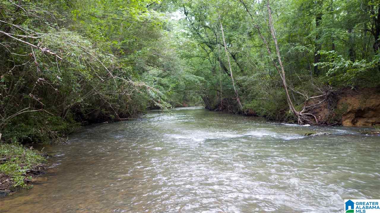 180 Gibson Road, Unit 76 / ACRES OFF GIBSON R Columbiana, AL 35051 - Photo 27 of 50