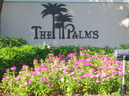 THE PALMS