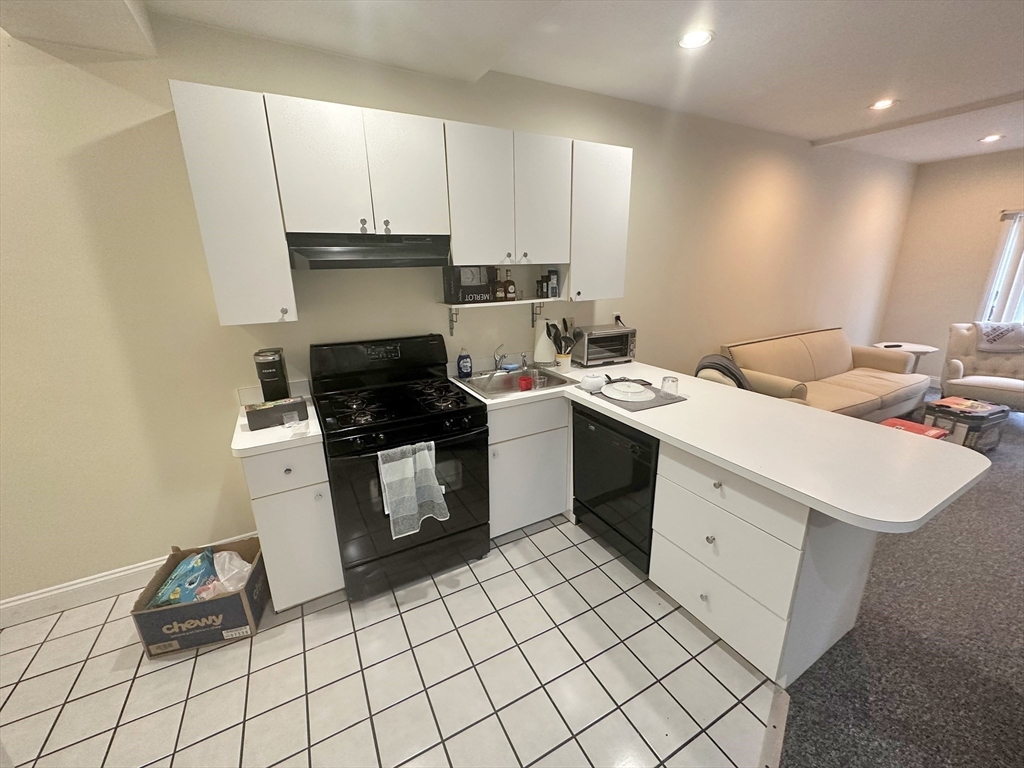 550 East 3rd Street Boston, MA 02127 - Photo 11 of 12 a kitchen with a sink and cabinets