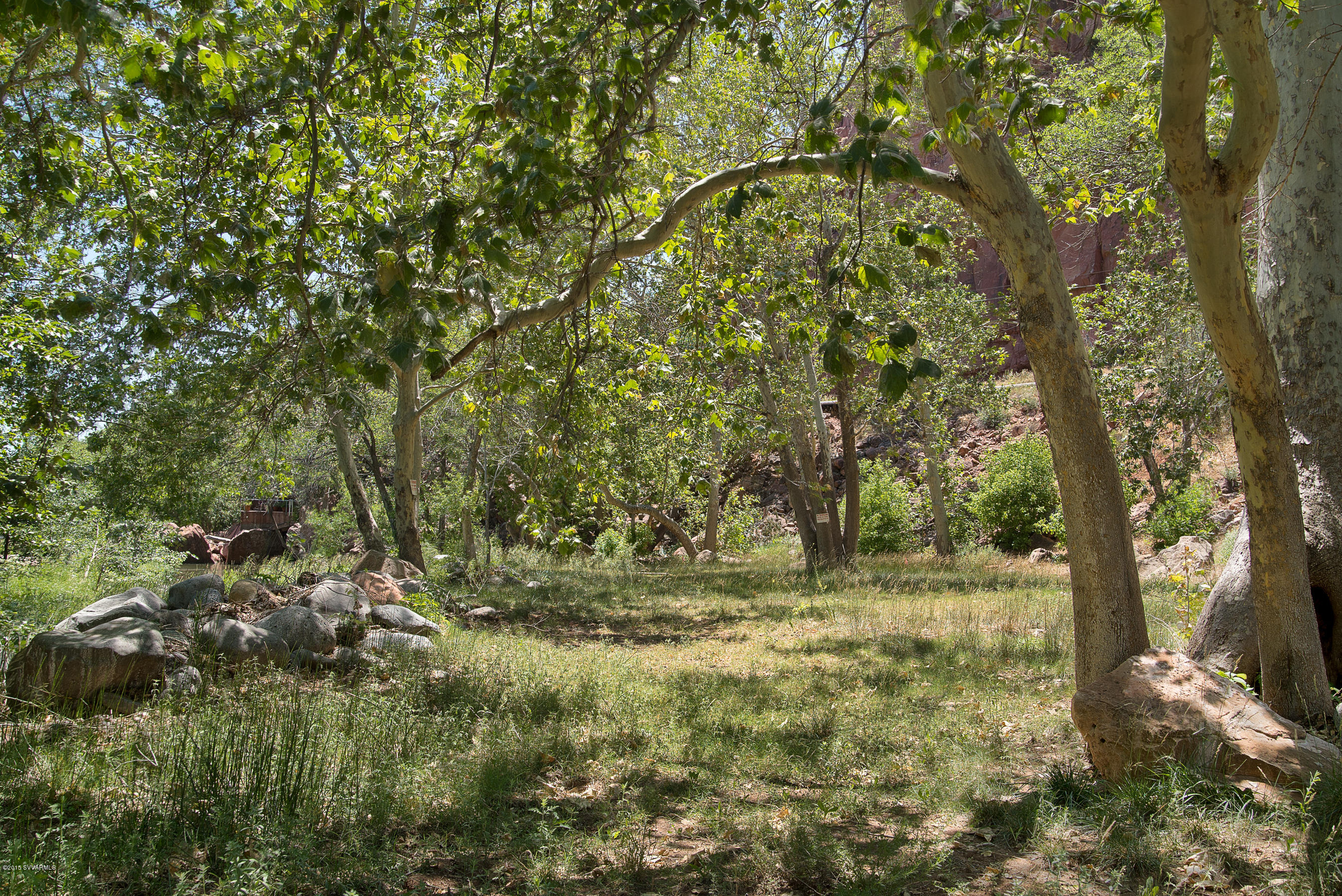 690-950 North State Rte 89A Sedona, AZ 86336 - Photo 11 of 31 a yard with a tree