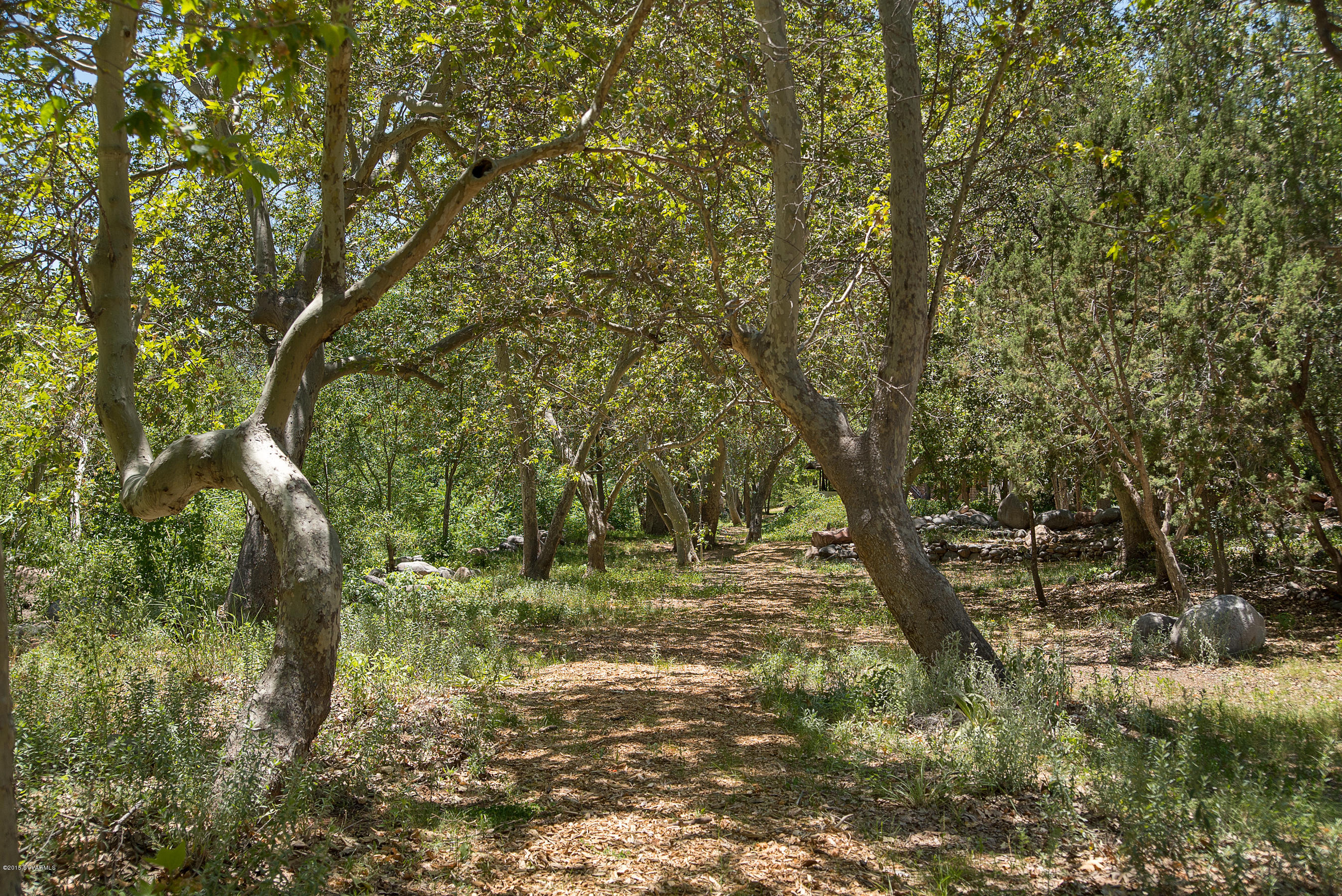 690-950 North State Rte 89A Sedona, AZ 86336 - Photo 18 of 31 a view of outdoor space and a yard