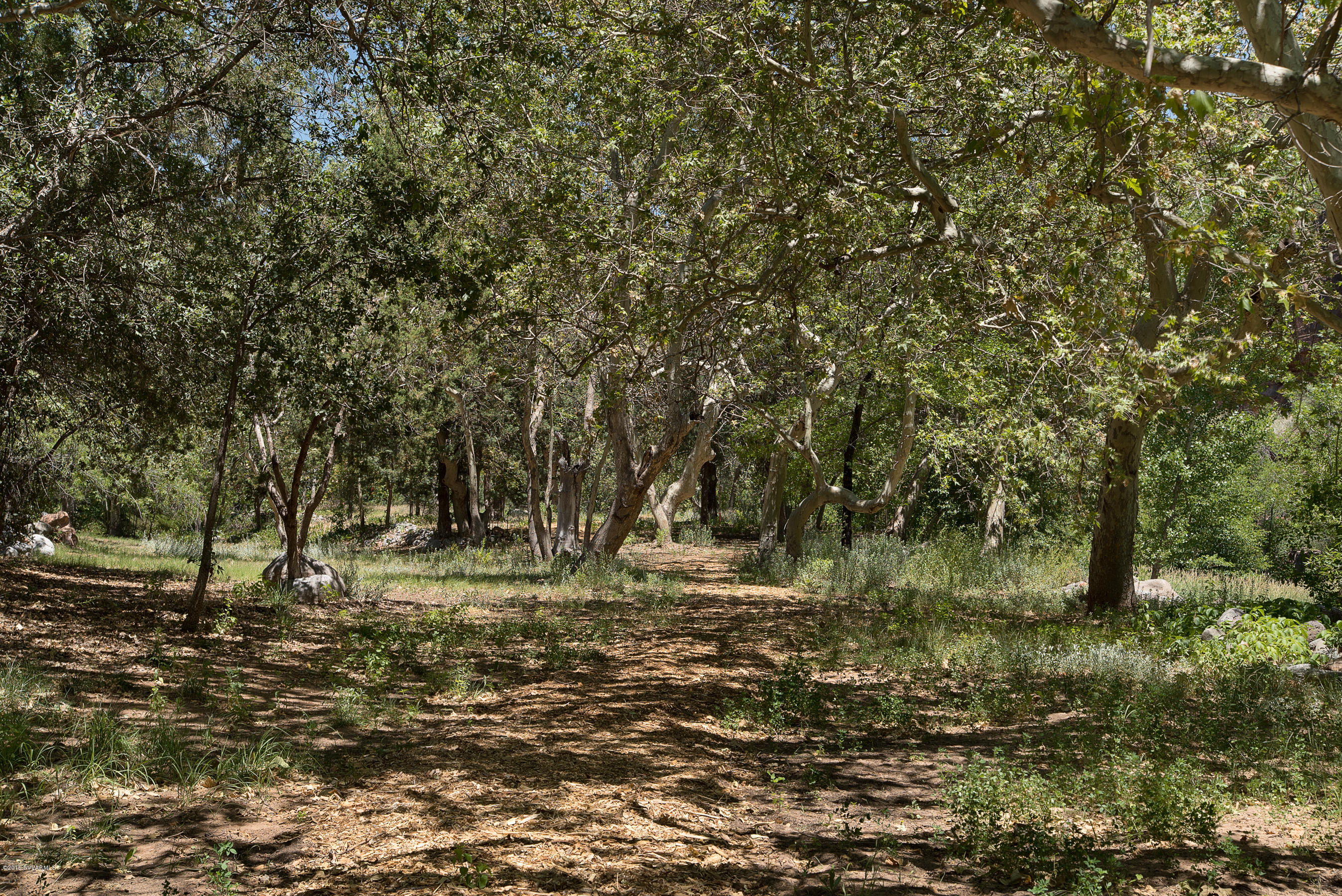 690-950 North State Rte 89A Sedona, AZ 86336 - Photo 20 of 31 a view of a yard with large trees