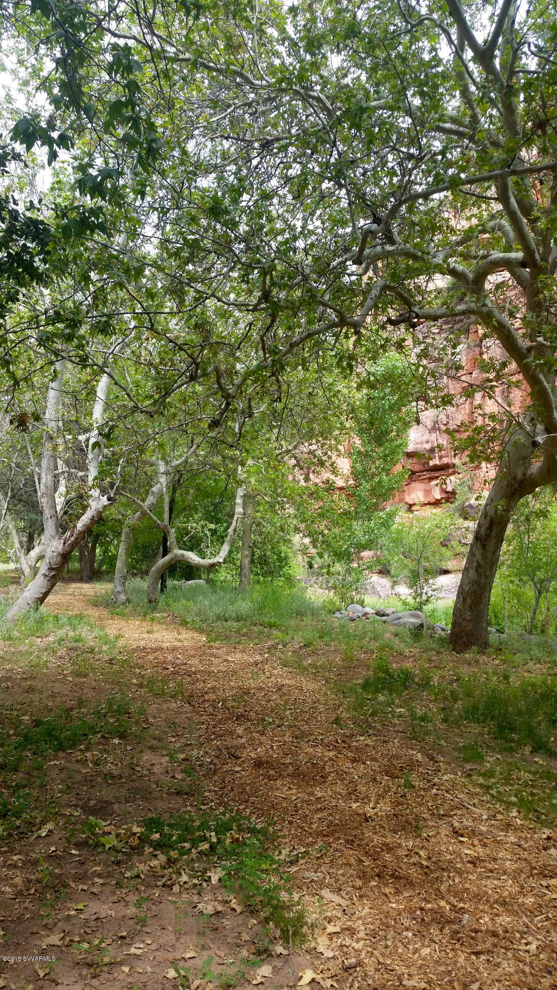 690-950 North State Rte 89A Sedona, AZ 86336 - Photo 21 of 31 a view of a yard with a tree