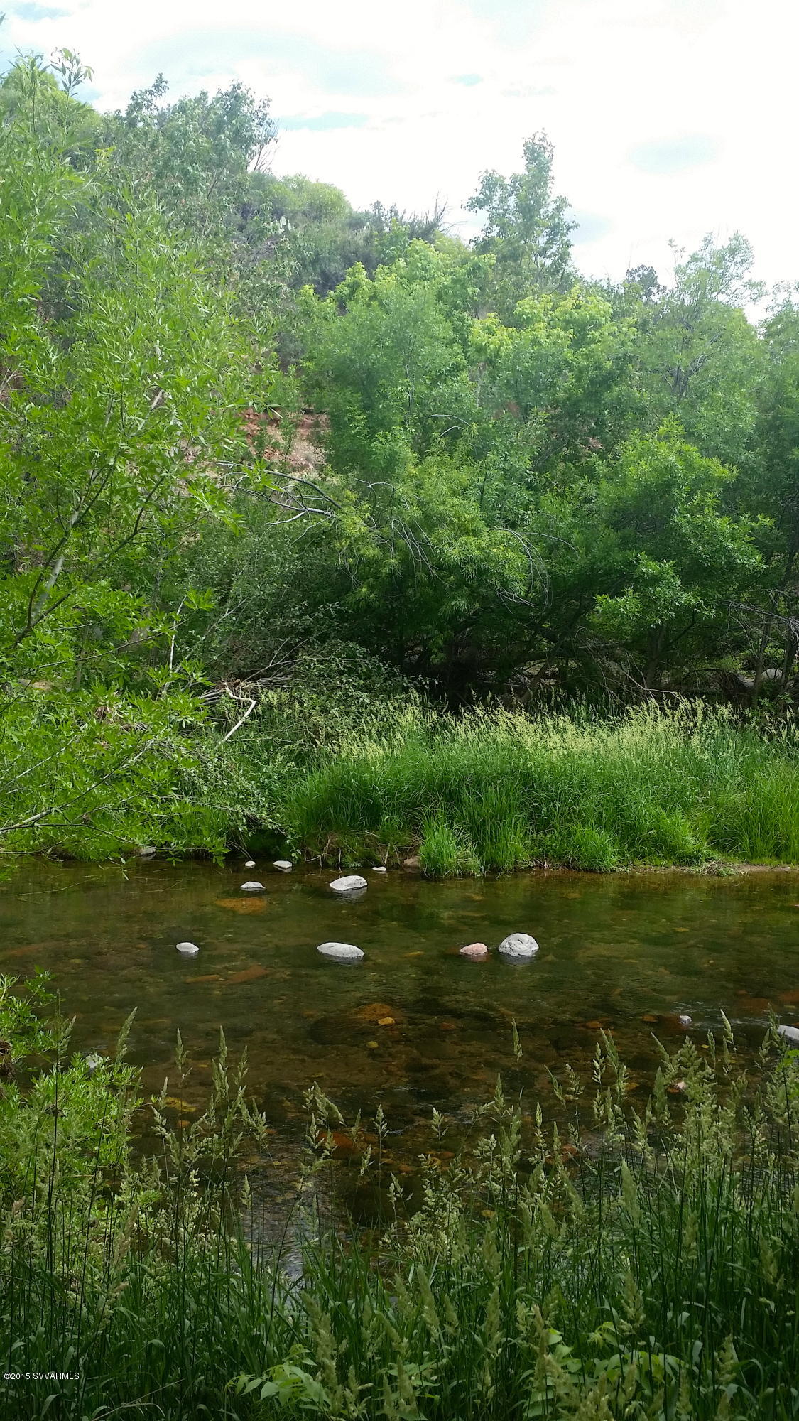 690-950 North State Rte 89A Sedona, AZ 86336 - Photo 28 of 31 a view of a lush green forest