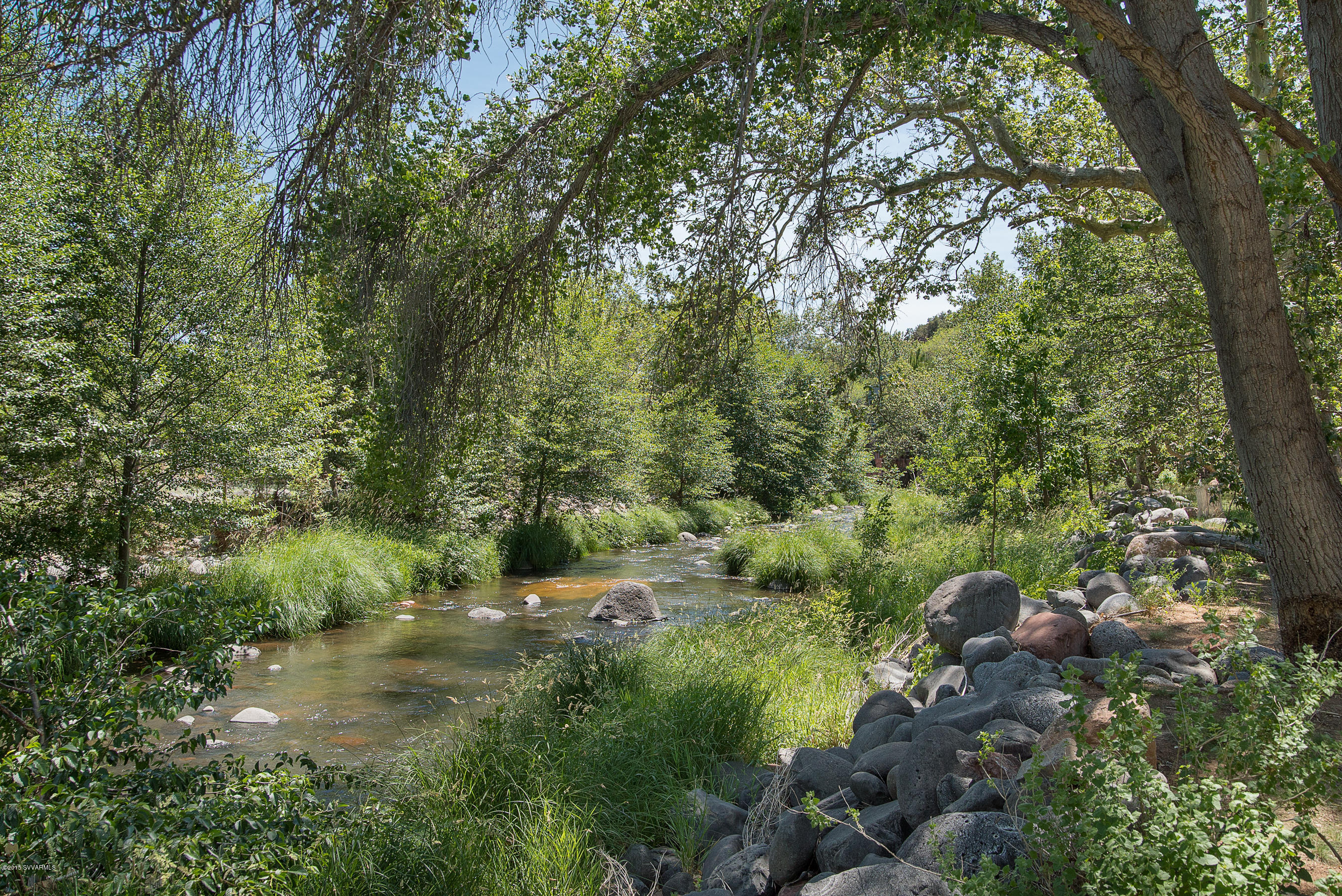 690-950 North State Rte 89A Sedona, AZ 86336 - Photo 6 of 31 a view of a lush green forest with lots of trees