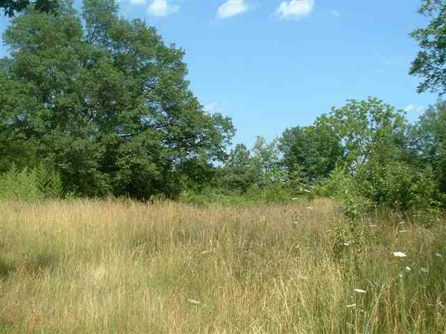 Lot 1 Fawn Ridge Way Mauldin, SC 29662 - Photo 1 of 3 Gallery Image 1