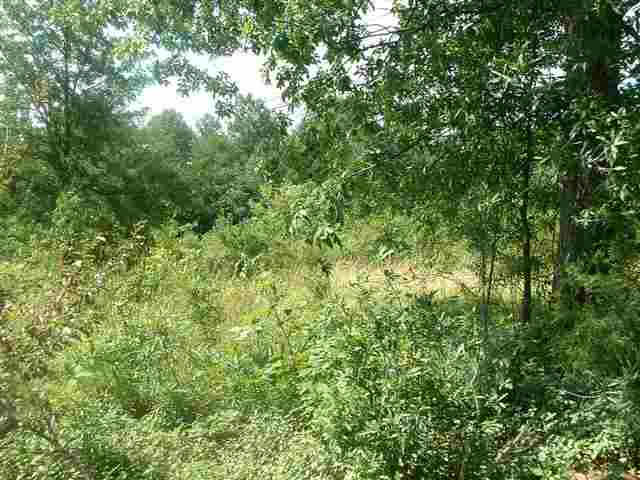 Lot 1 Fawn Ridge Way Mauldin, SC 29662 - Photo 2 of 3 Gallery Image 2