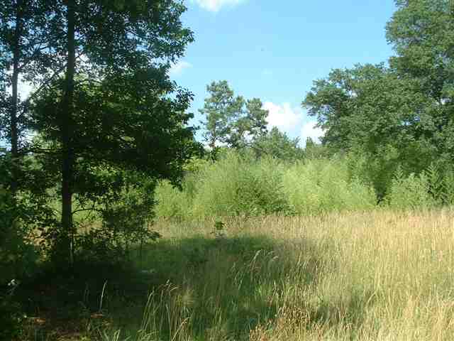 Lot 1 Fawn Ridge Way Mauldin, SC 29662 - Photo 3 of 3 Gallery Image 3