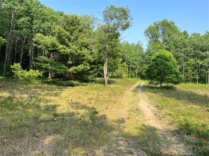 47 South 47 3/4 Road Cadillac, MI 49601 - Photo 35 of 59