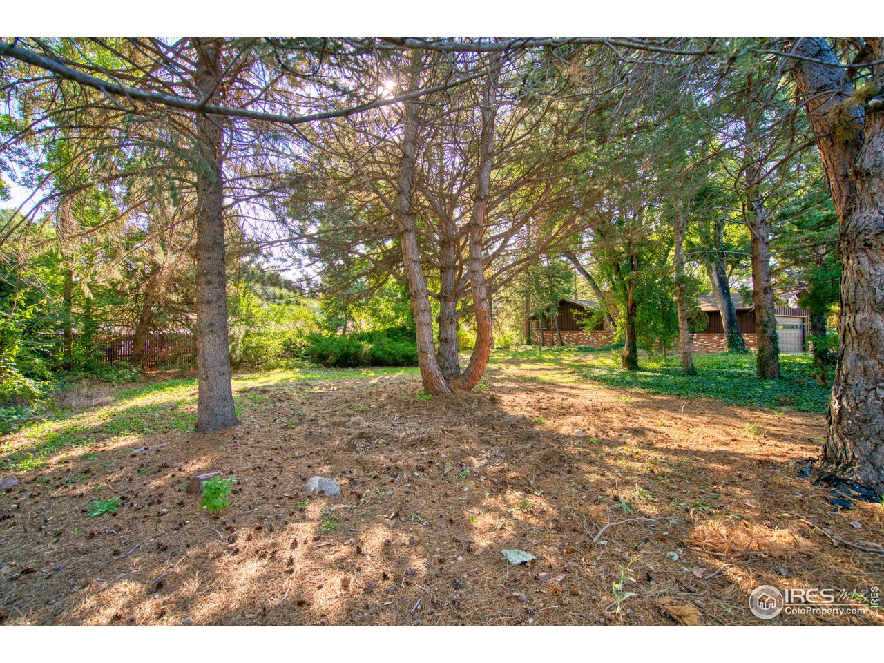 5511 Pioneer Road Boulder, CO 80301 - Photo 8 of 28