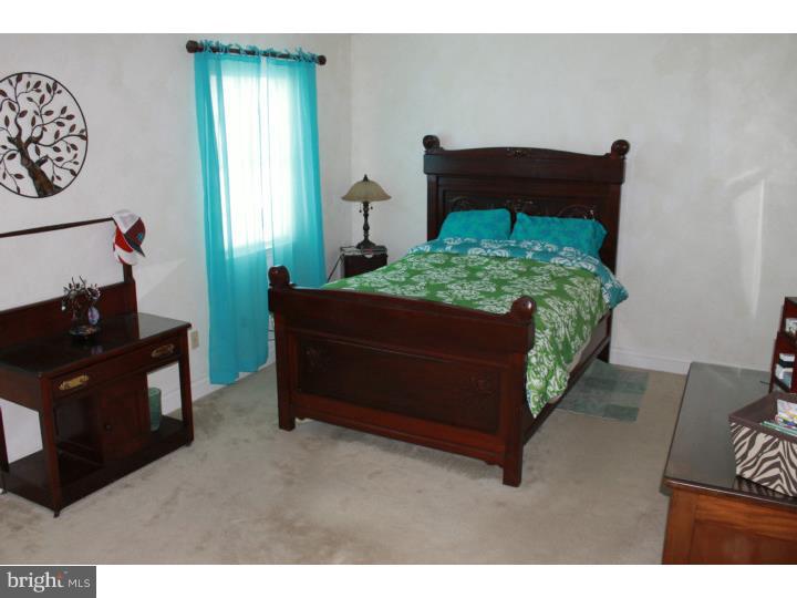 221 Nicole Way Sinking Spring, PA 19608 - Photo 12 of 18 Master Bedroom