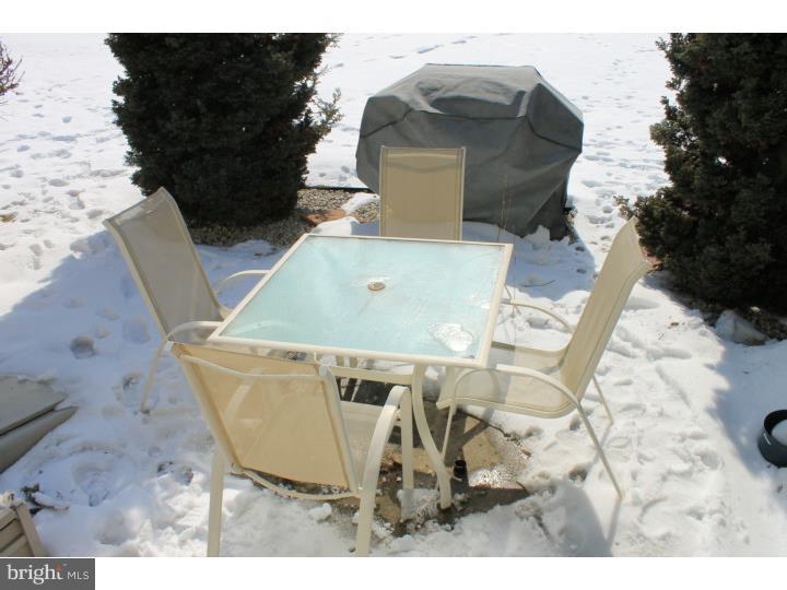221 Nicole Way Sinking Spring, PA 19608 - Photo 16 of 18 Patio