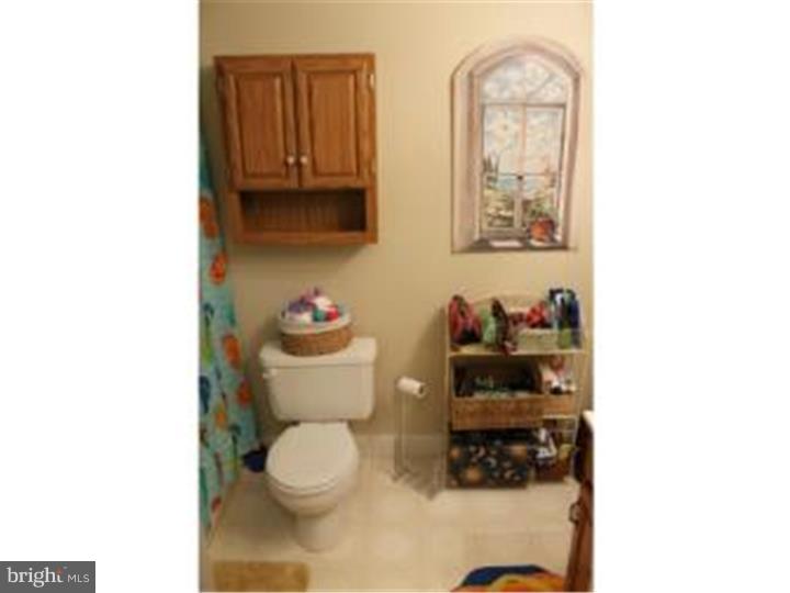 221 Nicole Way Sinking Spring, PA 19608 - Photo 9 of 18 Bathroom