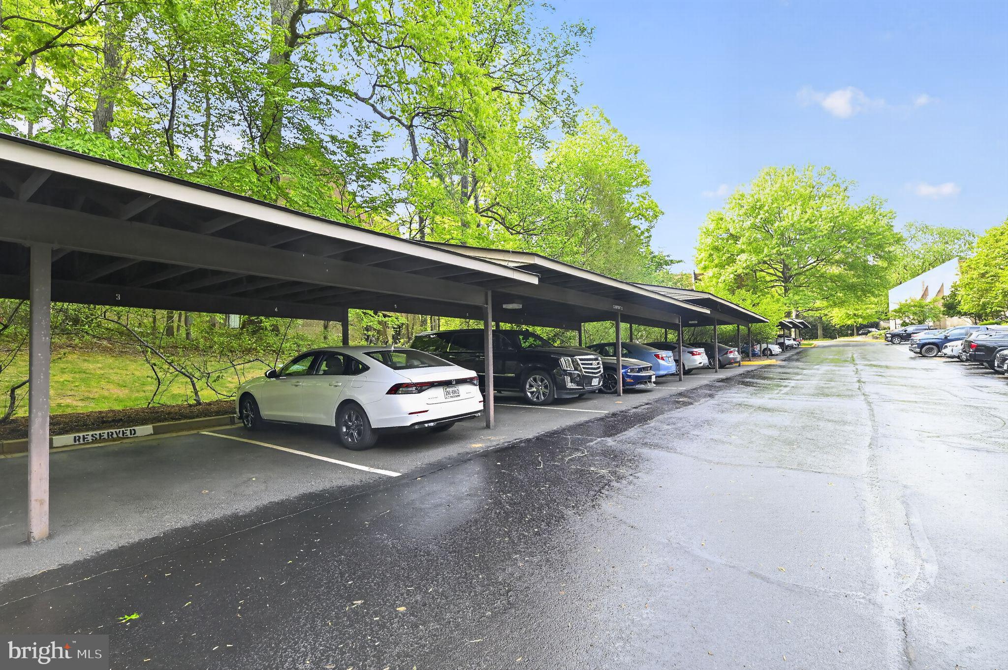 2114 Green Watch Way, Unit 10/201E Reston, VA 20191 - Photo 29 of 31