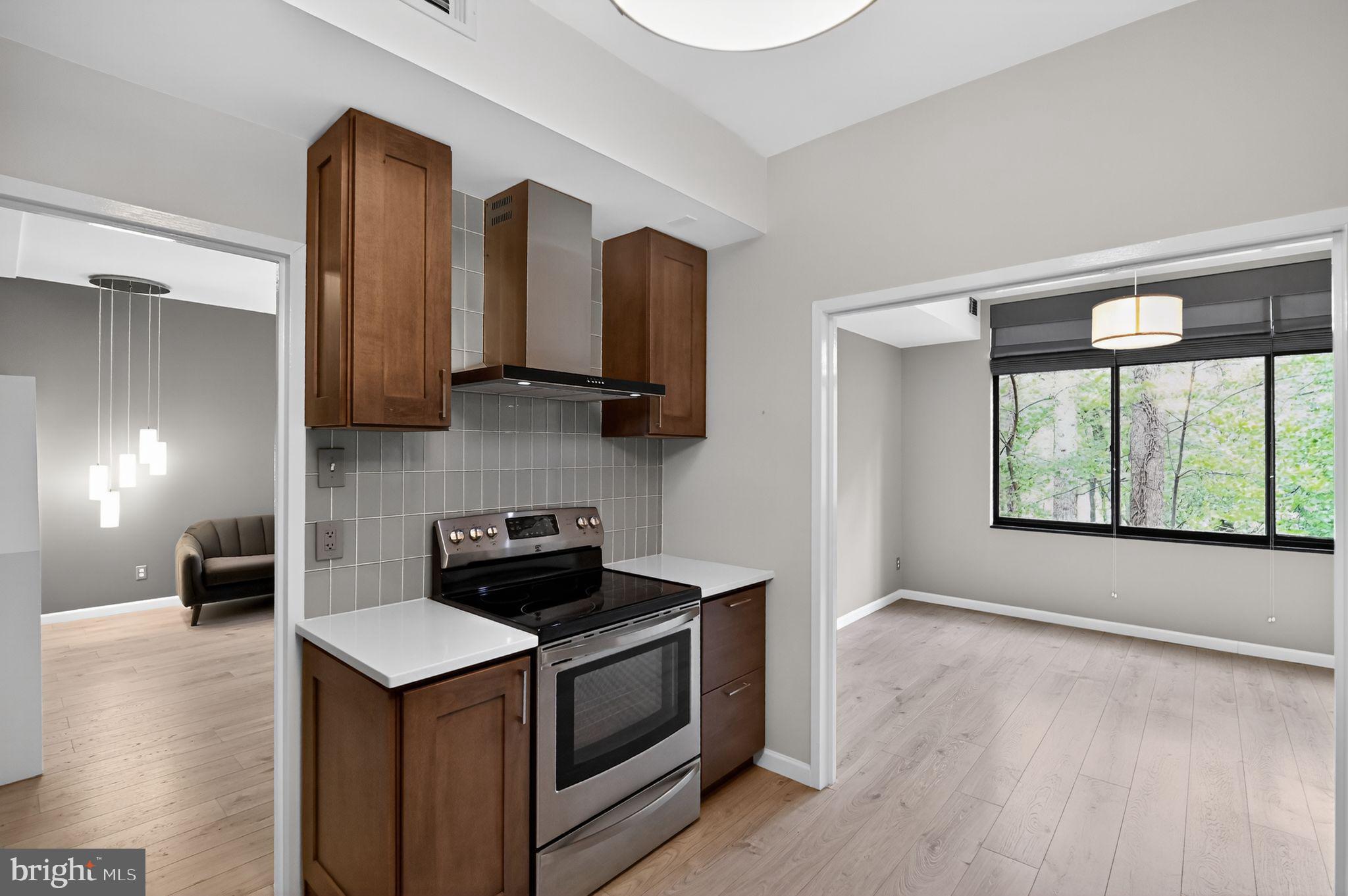 2114 Green Watch Way, Unit 10/201E Reston, VA 20191 - Photo 5 of 31 Stainless applicants with modern vent hood