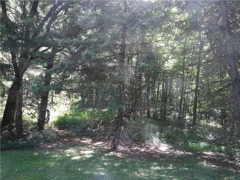 250 Ashbaugh Road Jeannette, PA 15644 - Photo 14 of 15 Yard/Garden. lovely woods behind home