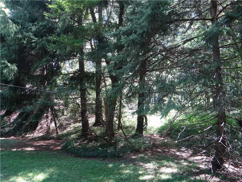 250 Ashbaugh Road Jeannette, PA 15644 - Photo 15 of 15 Yard/Garden. not much grass to cut here