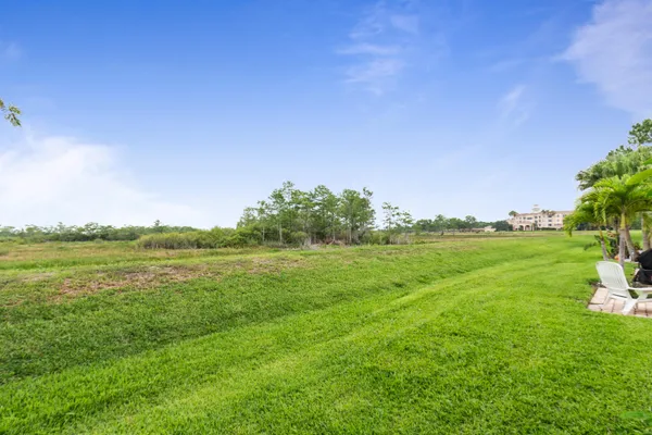 a view of a grassy field with an trees