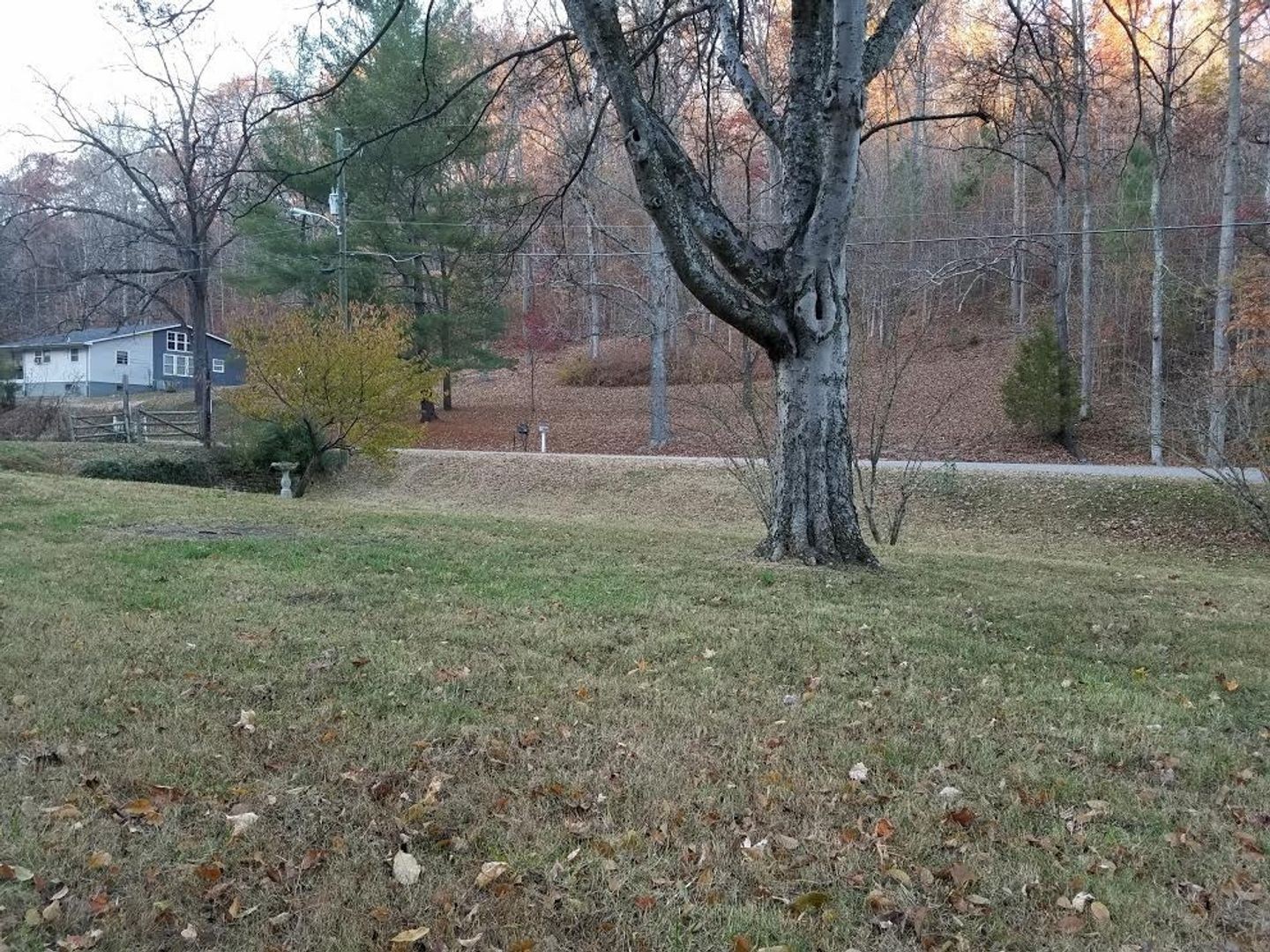 4479 Stenberg Road Whites Creek, TN 37189 - Photo 16 of 17