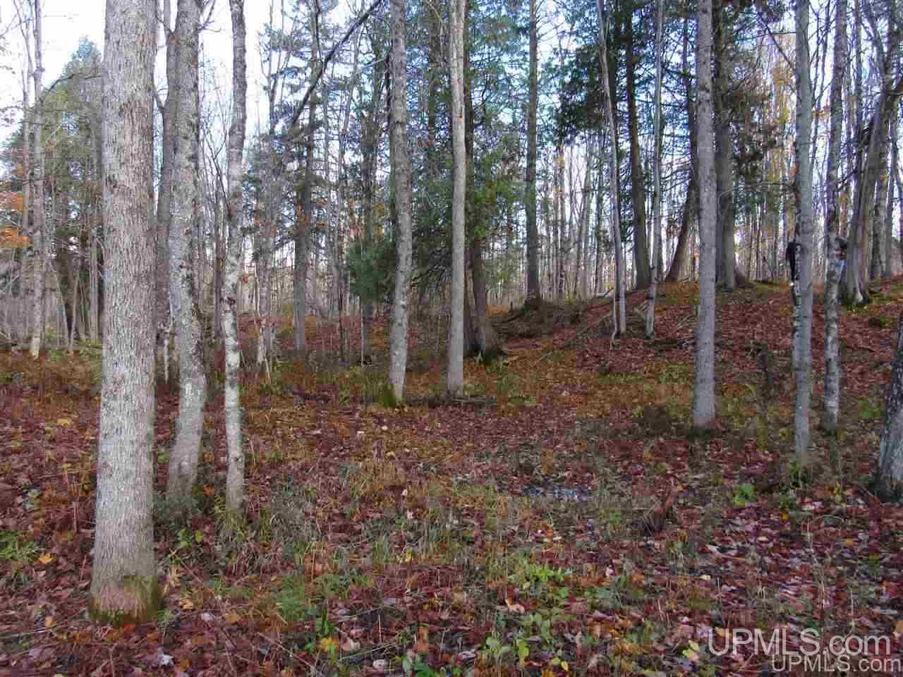 Lot 1 Sicotte Road Skanee, MI 49962 - Photo 20 of 23