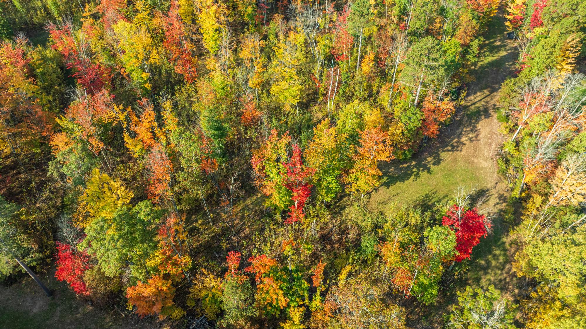 Lot 6 Northwestern Drive Rhinelander, WI 54501 - Photo 3 of 4 Gallery Image 3