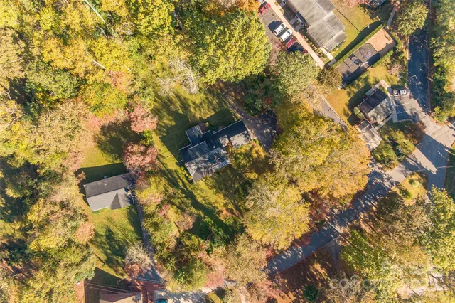 a view of a tree in a yard