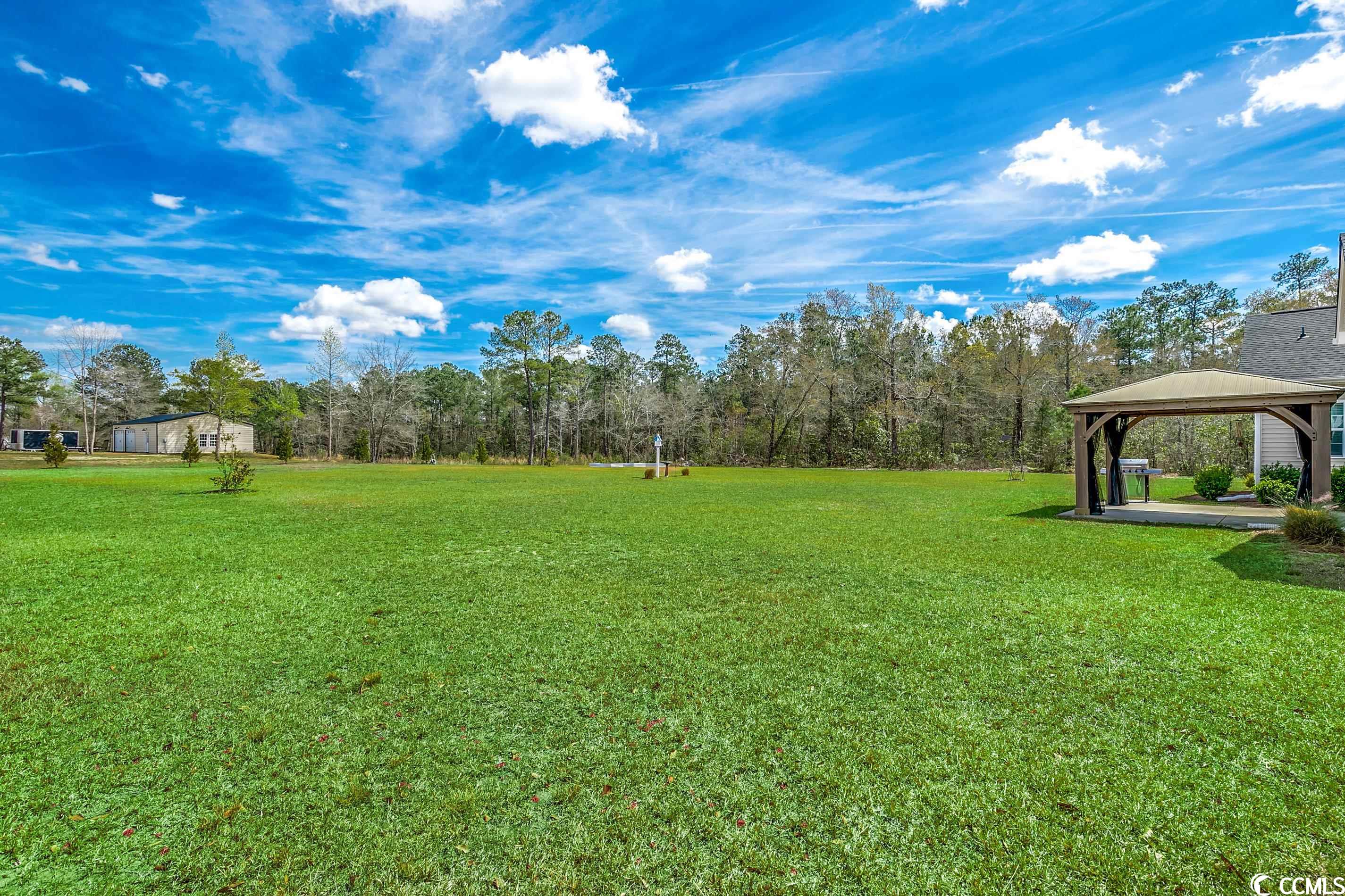 4181 Enoch Road Aynor, SC 29511 - Photo 35 of 38 Gallery Image 35