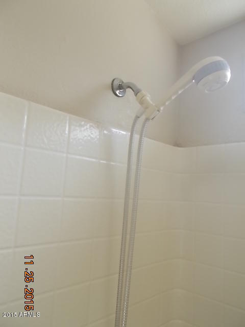 7125 West Nancy Road Peoria, AZ 85382 - Photo 7 of 39 a close view of shower
