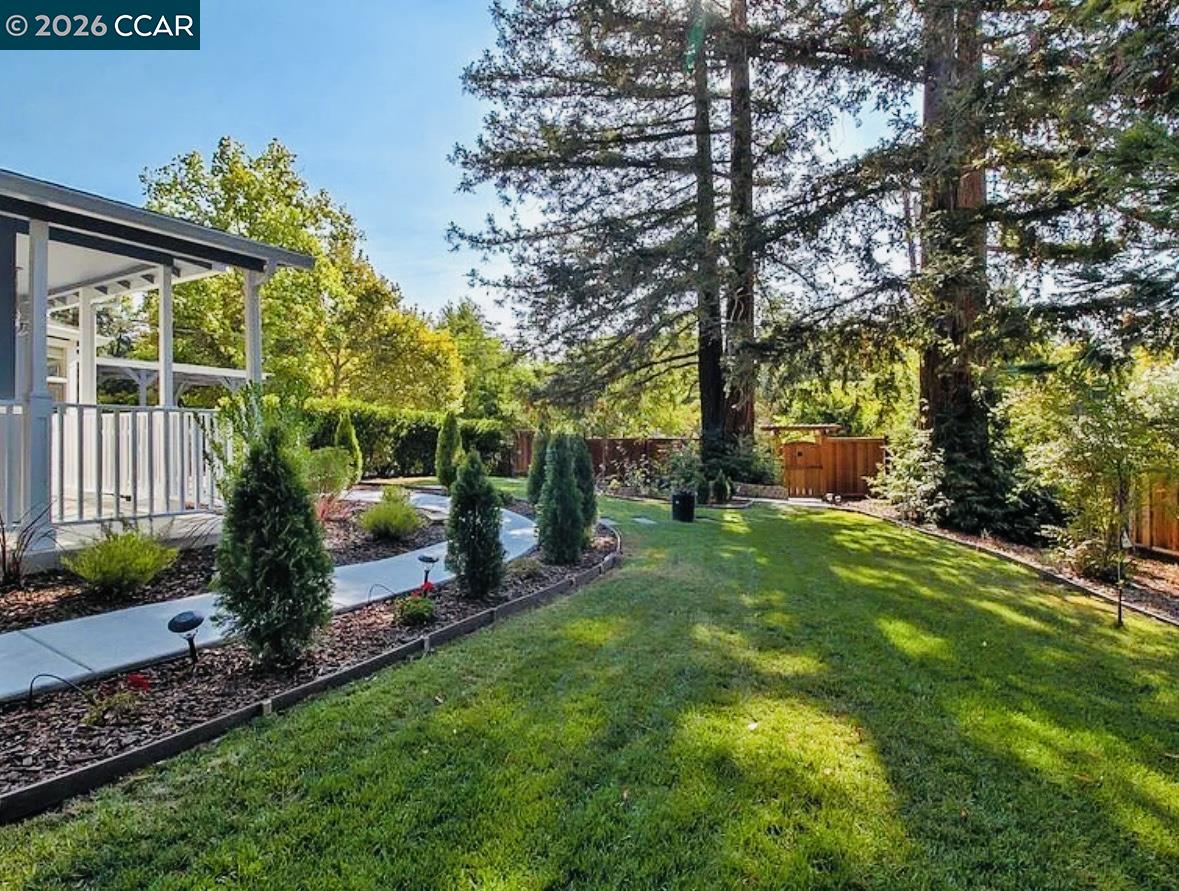 143 Pulido Road Danville, CA 94526 - Photo 22 of 27 a view of a chair and table in the garden