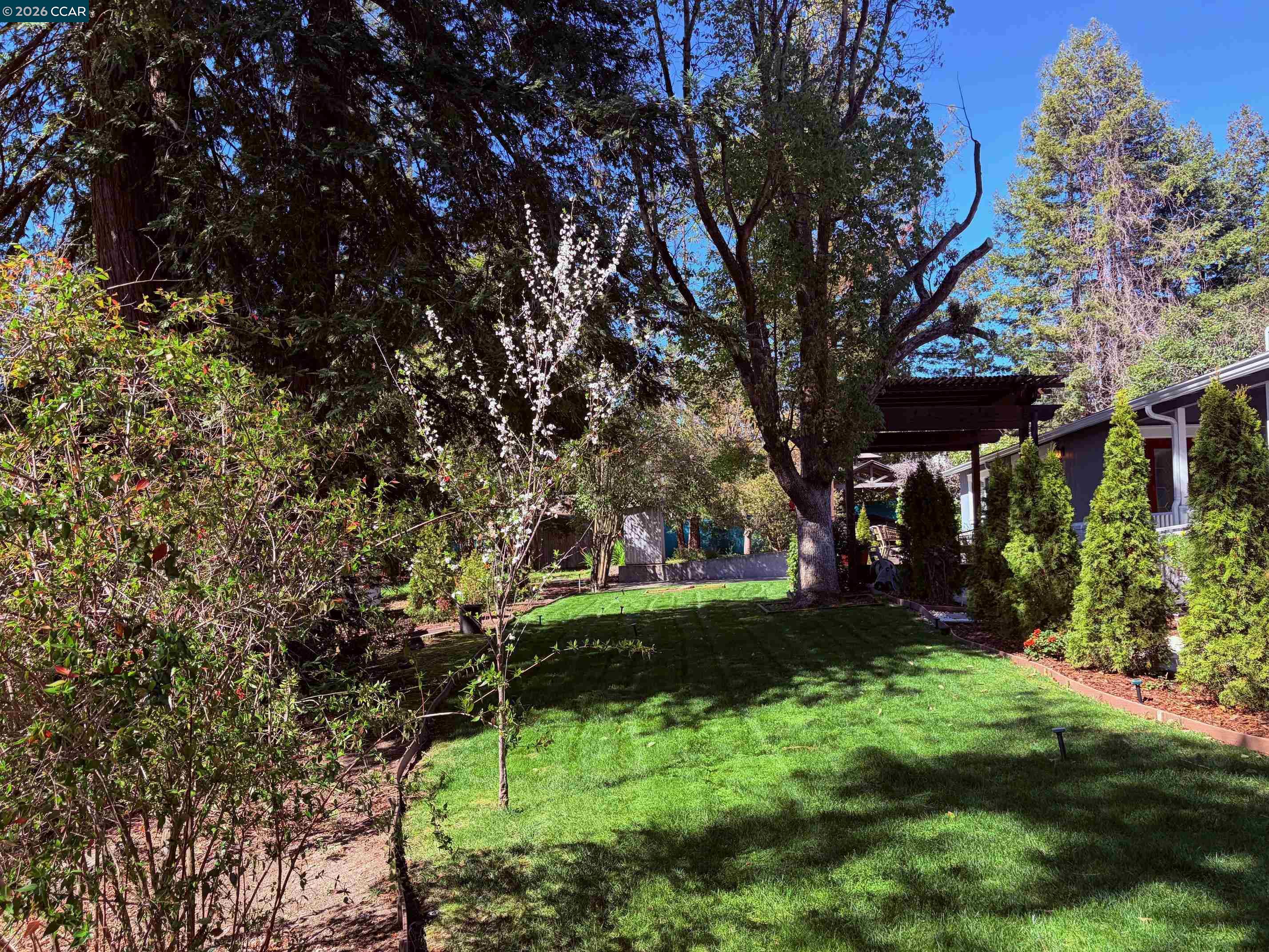 143 Pulido Road Danville, CA 94526 - Photo 25 of 27 a view of backyard with green space