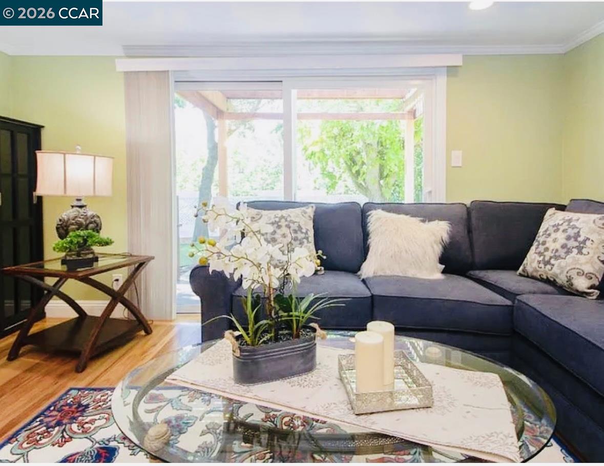 143 Pulido Road Danville, CA 94526 - Photo 3 of 27 a living room with furniture and a potted plant