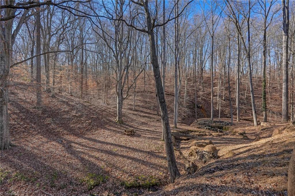 1325 Tellowee Road Eden, NC 27288 - Photo 46 of 50