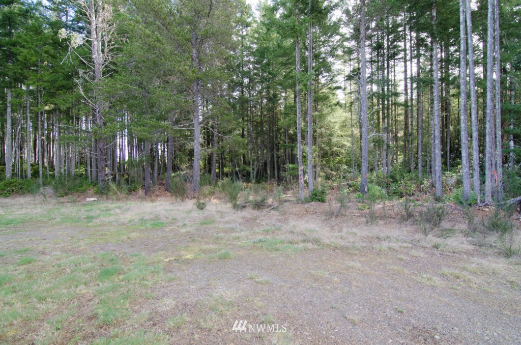 300 Northeast Tee Lake Pines Road Tahuya, WA 98588 - Photo 9 of 25 Gallery Image 9