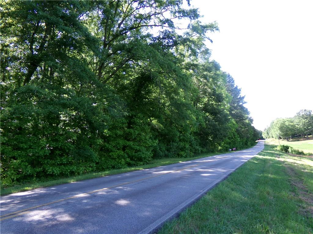0 P P J East Road Covington, GA 30014 - Photo 1 of 1 a view of a yard with a tree