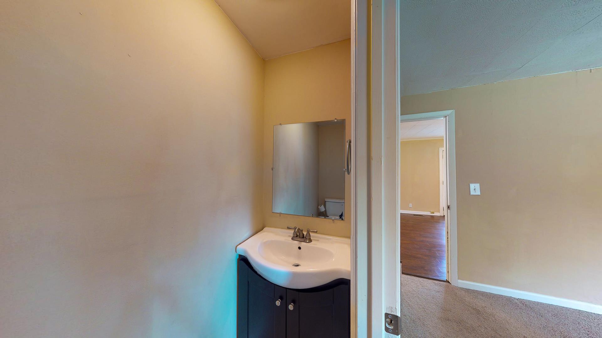 1236 Butler Bridge Road Portland, TN 37148 - Photo 12 of 22 a bathroom with a sink and a mirror