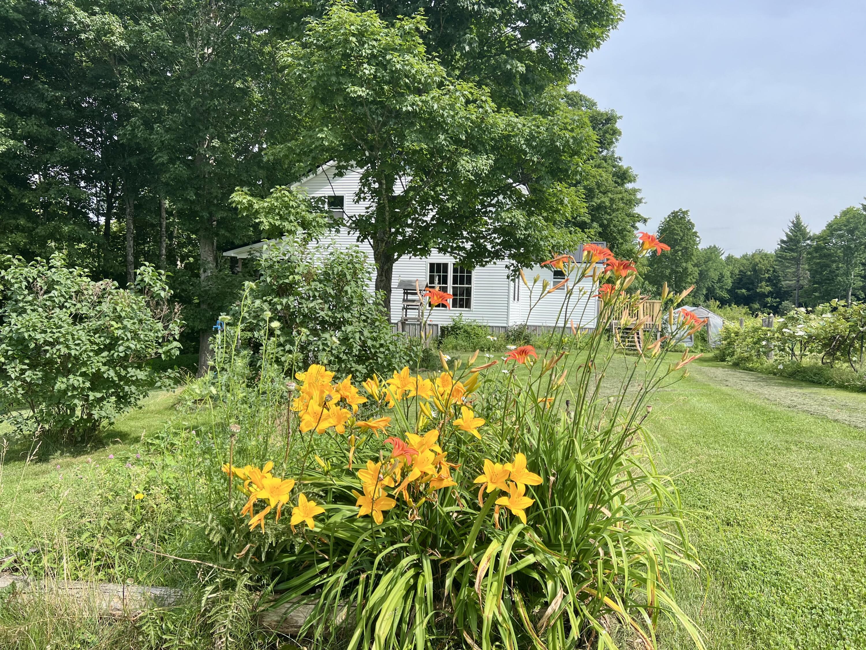 142 Palmer Road Thorndike, ME 04986 - Photo 101 of 101 IMG_5645