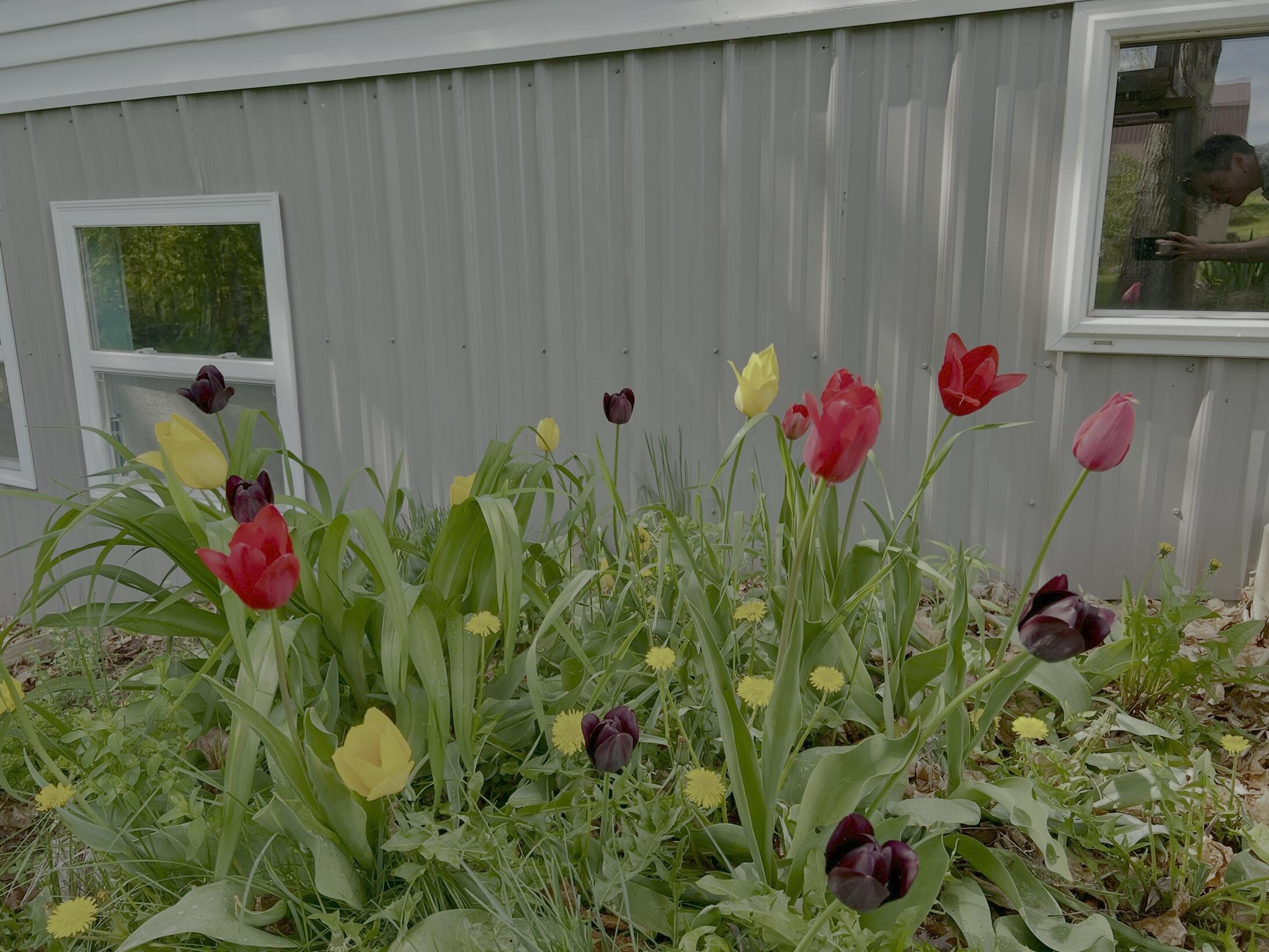 142 Palmer Road Thorndike, ME 04986 - Photo 39 of 101 IMG_4764